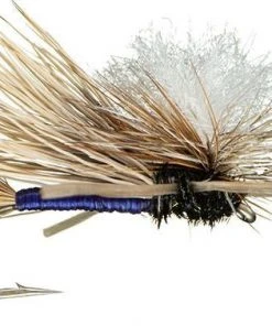 MFC Swisher's PMX - Purple