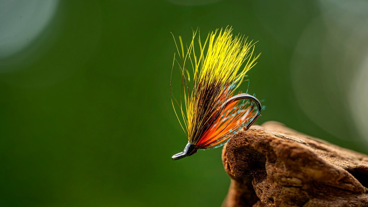 Fly Fish Food Shop 13 Fly Fish Food Shop -Fly Fish Food Shop 1